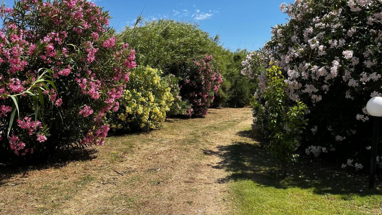 Hotel Frassetto Santa Teresa Gallura Buitenkant foto